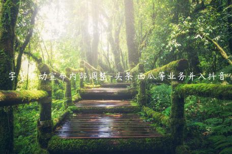 字節(jié)跳動宣布內(nèi)部調(diào)整-頭條 西瓜等業(yè)務(wù)并入抖音